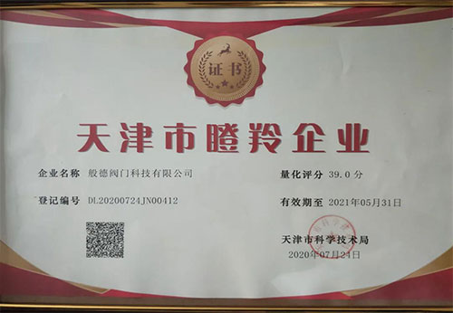 般德阀门
